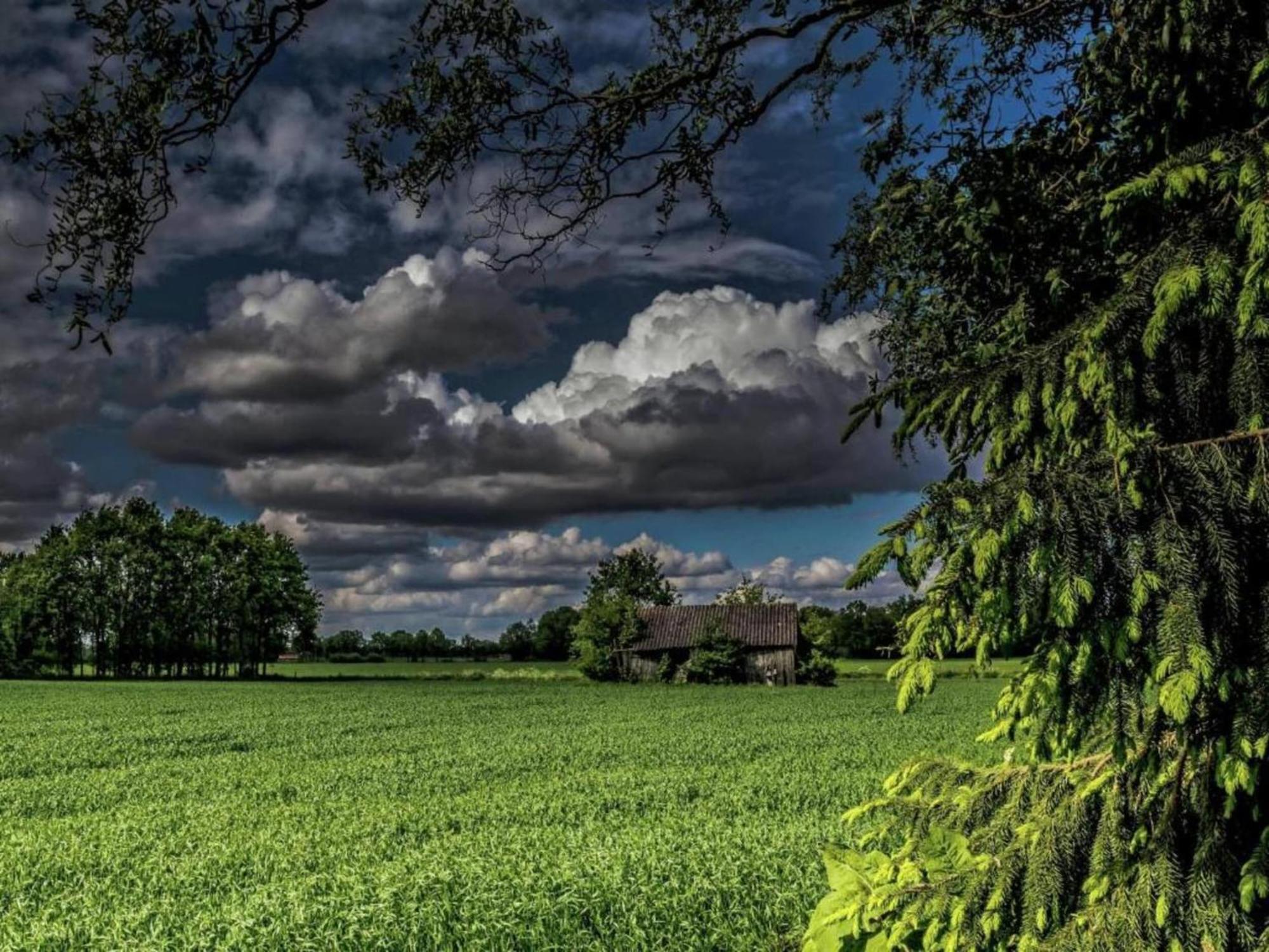 Quaint Farmhouse In Geesteren With Meadow View Kültér fotó